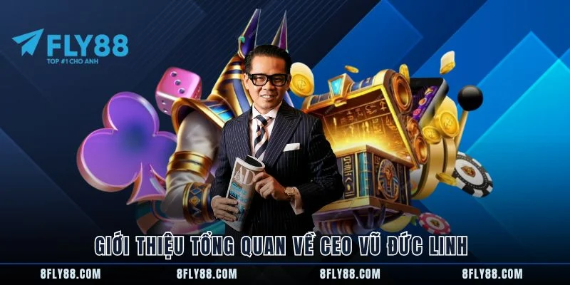 Giới thiệu tổng quan về CEO Vũ Đức Linh