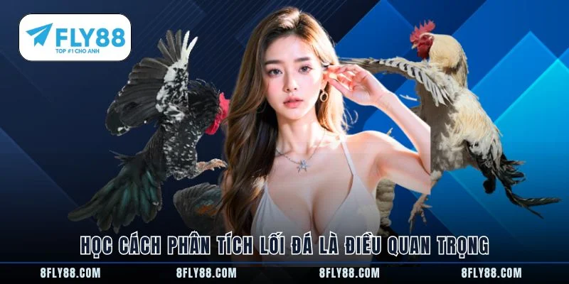 Học cách phân tích lối đá là điều quan trọng