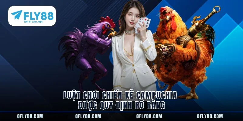 Luật chơi chiến kê Campuchia được quy định rõ ràng