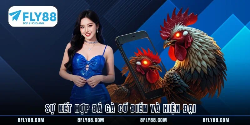 Sự kết hợp đá gà cổ điển và hiện đại